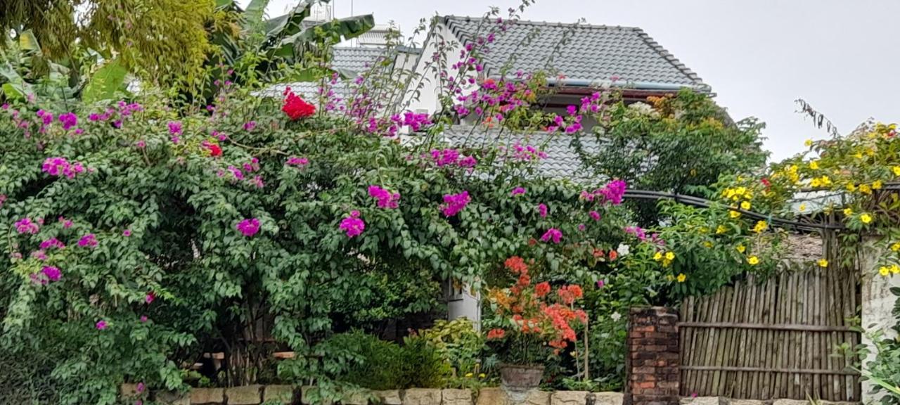 ホイアン ラ テラッザ Bed & Breakfast エクステリア 写真