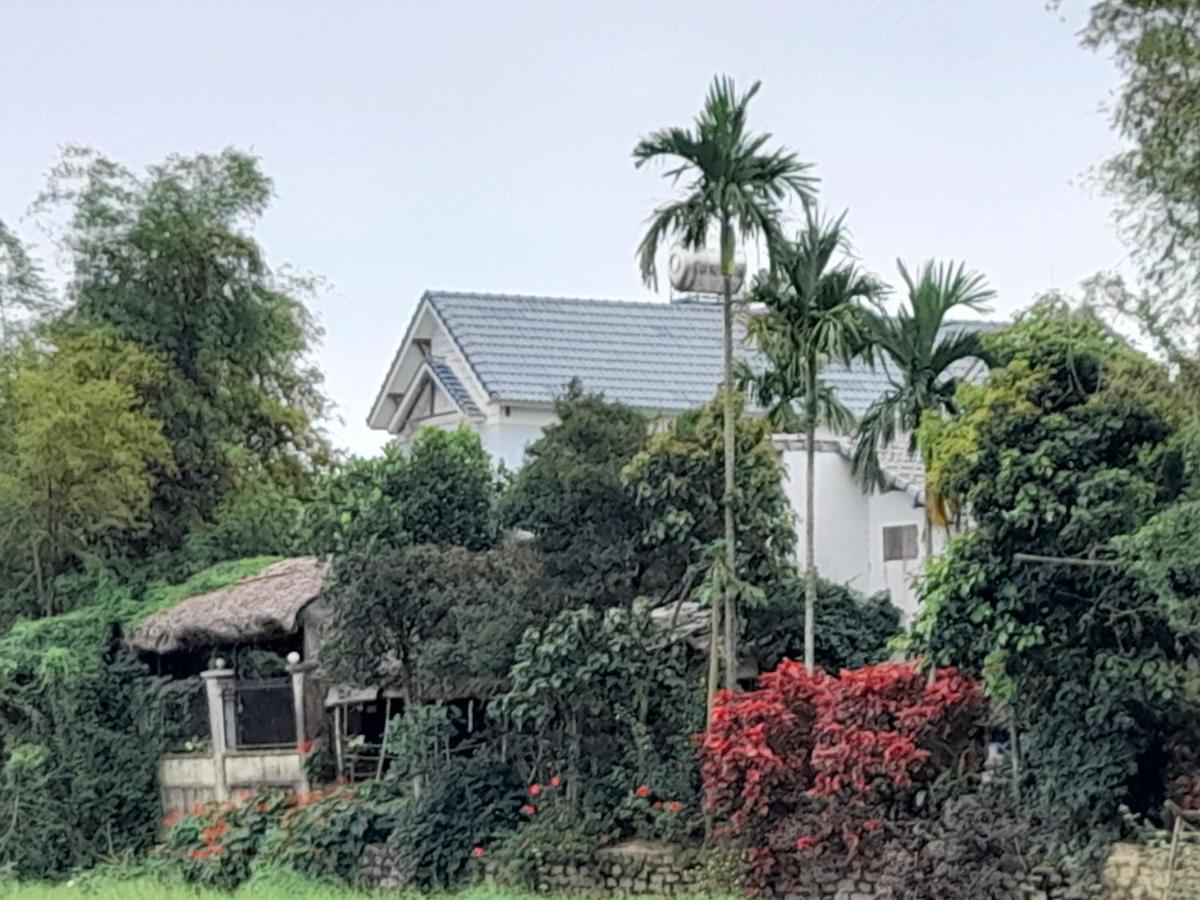 ホイアン ラ テラッザ Bed & Breakfast エクステリア 写真